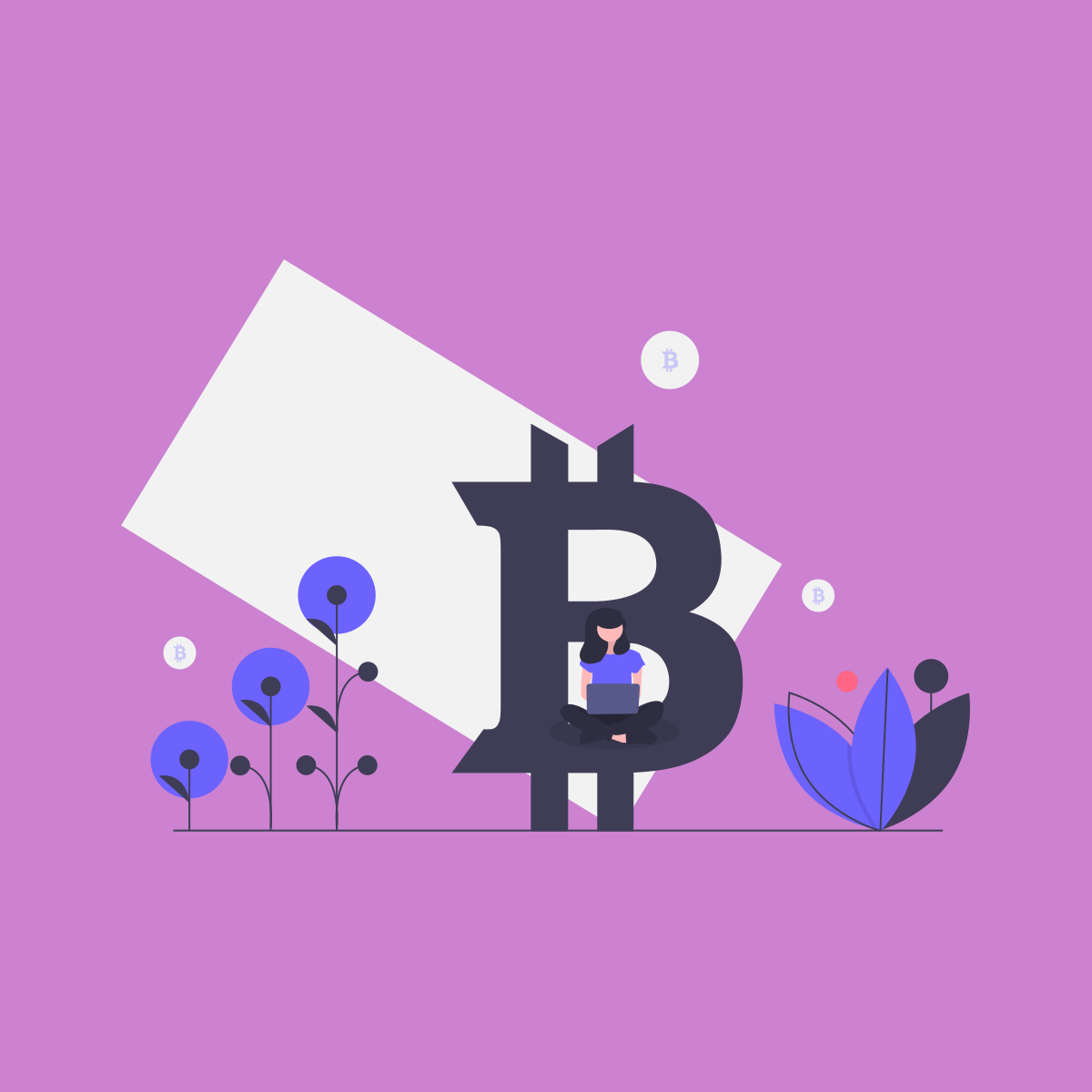 third-party vs self-hosted bitcoin payment implementations